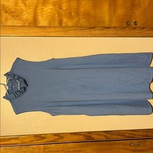Jude Connally Blue Sleeveless Sheath Dress for Casual Occasions